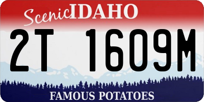 ID license plate 2T1609M