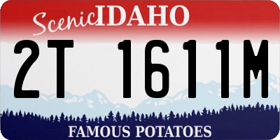 ID license plate 2T1611M