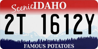 ID license plate 2T1612Y