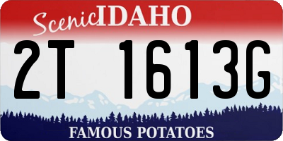 ID license plate 2T1613G