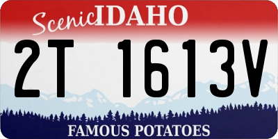 ID license plate 2T1613V