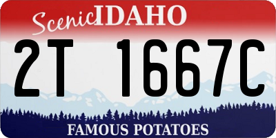 ID license plate 2T1667C