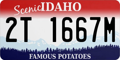 ID license plate 2T1667M