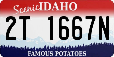 ID license plate 2T1667N