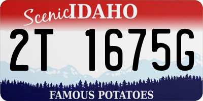 ID license plate 2T1675G