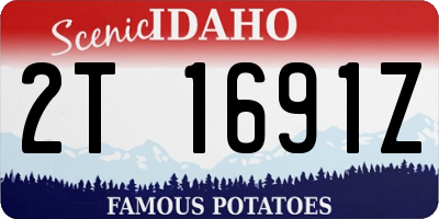 ID license plate 2T1691Z