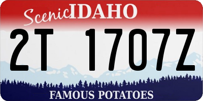ID license plate 2T1707Z
