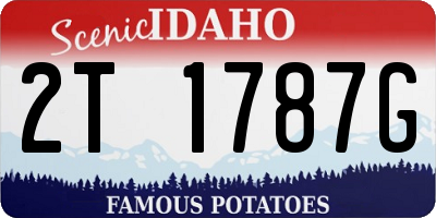 ID license plate 2T1787G