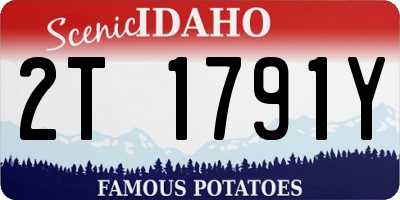 ID license plate 2T1791Y