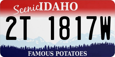 ID license plate 2T1817W