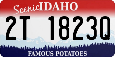 ID license plate 2T1823Q