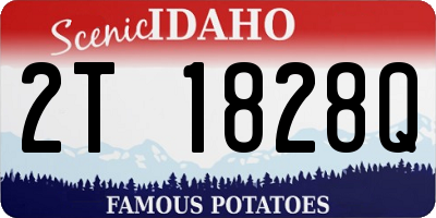 ID license plate 2T1828Q