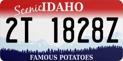 ID license plate 2T1828Z