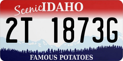 ID license plate 2T1873G