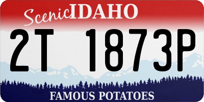 ID license plate 2T1873P