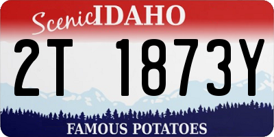 ID license plate 2T1873Y
