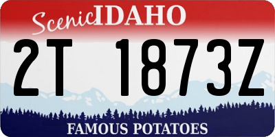 ID license plate 2T1873Z