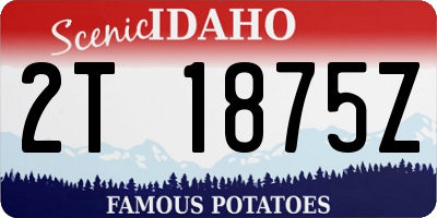 ID license plate 2T1875Z