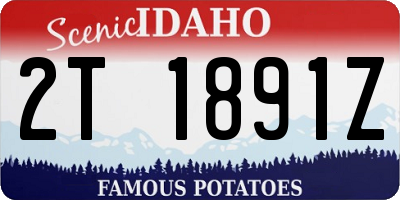 ID license plate 2T1891Z