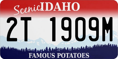 ID license plate 2T1909M