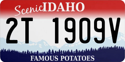 ID license plate 2T1909V