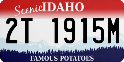 ID license plate 2T1915M