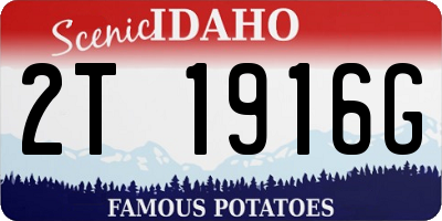 ID license plate 2T1916G