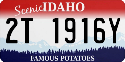ID license plate 2T1916Y