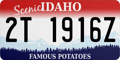 ID license plate 2T1916Z