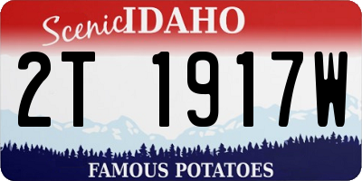 ID license plate 2T1917W