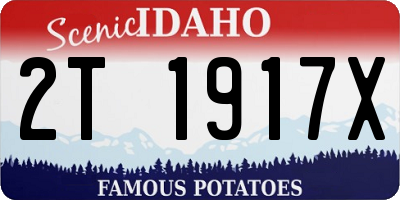 ID license plate 2T1917X