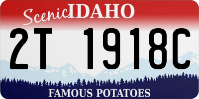 ID license plate 2T1918C