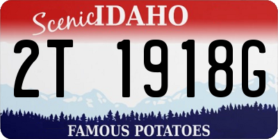 ID license plate 2T1918G
