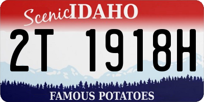 ID license plate 2T1918H