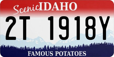 ID license plate 2T1918Y