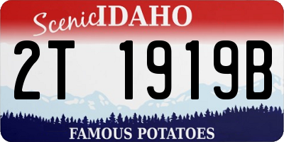 ID license plate 2T1919B