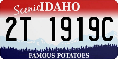 ID license plate 2T1919C