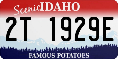 ID license plate 2T1929E
