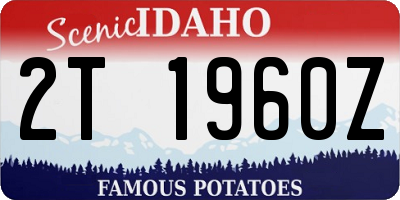 ID license plate 2T1960Z