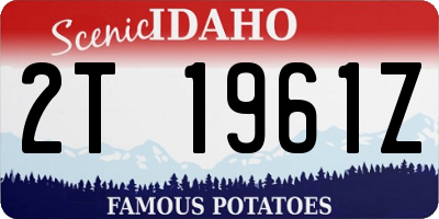 ID license plate 2T1961Z