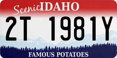 ID license plate 2T1981Y