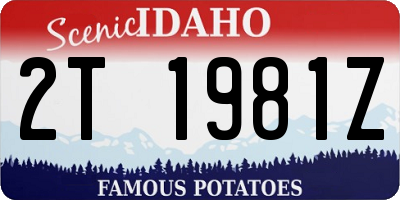 ID license plate 2T1981Z