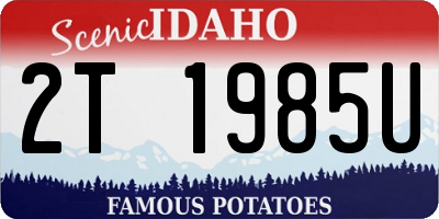 ID license plate 2T1985U