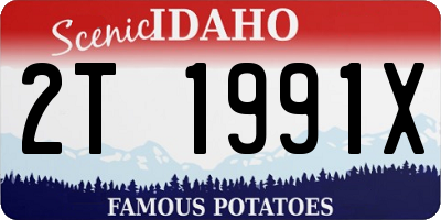 ID license plate 2T1991X
