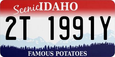 ID license plate 2T1991Y