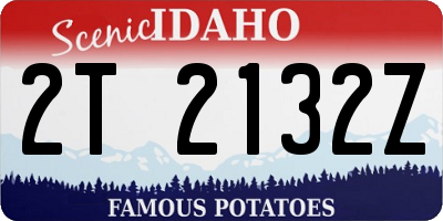 ID license plate 2T2132Z