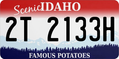 ID license plate 2T2133H