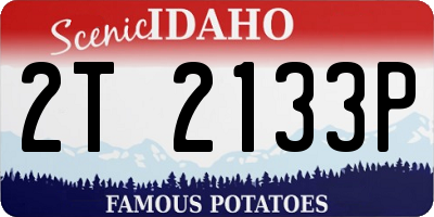 ID license plate 2T2133P