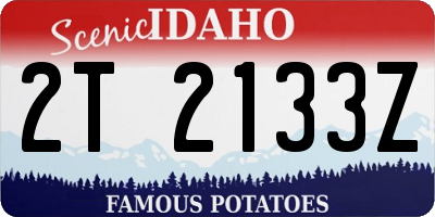 ID license plate 2T2133Z