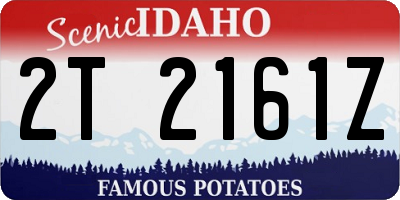 ID license plate 2T2161Z